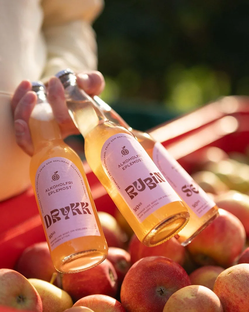 OmCider tasting 3